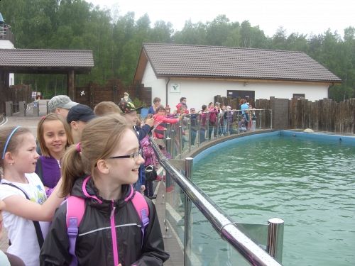 Grafika #0: SEA PARK SARBSK