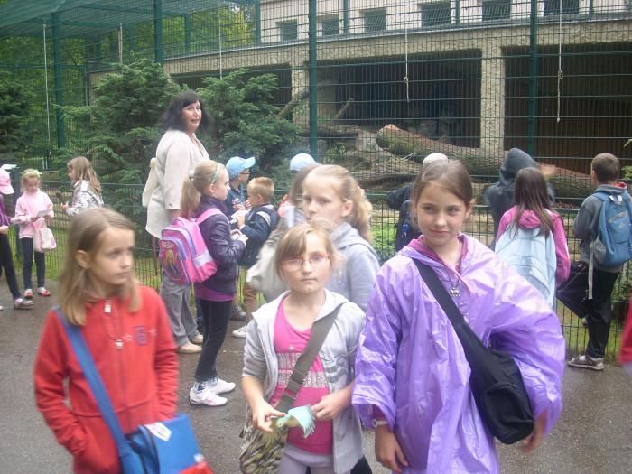 Grafika #0: Wycieczka do ZOO