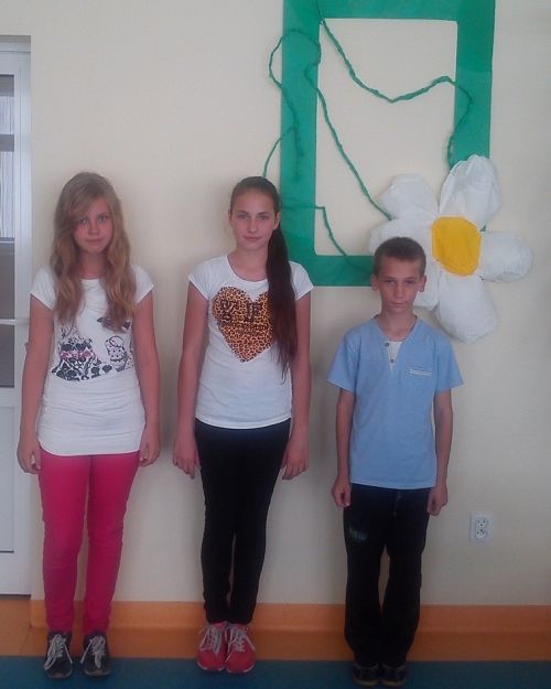 Grafika #0: Wybory do Samorządu Szkolnego