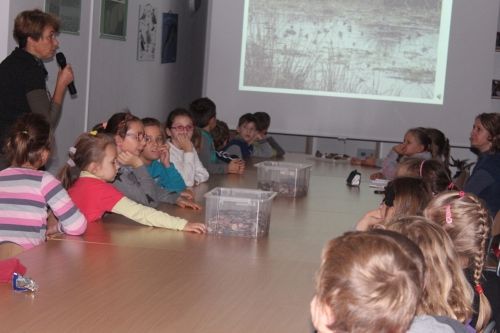 Grafika #0: Zajęcia edukacyjne w Słowińskim Parku Narodowym