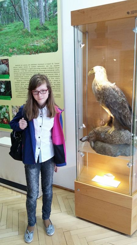 Grafika #0: Konkurs Wiedzy o Morzu Bałtyckim