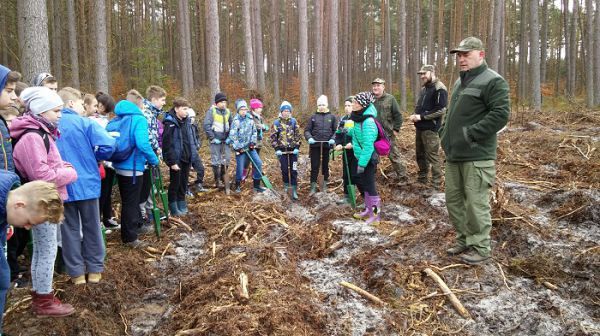 Grafika #0: Akcja sadzenia lasu pod hasłem "100 mln drzew do 2017 roku"