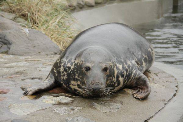 Grafika #0: Zajęcia edukacyjne w Helu