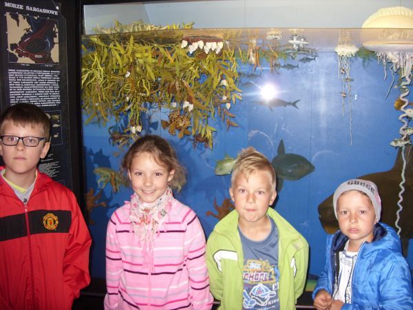 Grafika #0: WIZYTA W GDYŃSKIM OCEANARIUM