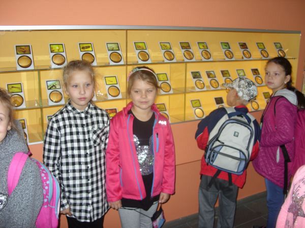 Grafika #0: Wycieczka do Muzeum Bursztynu