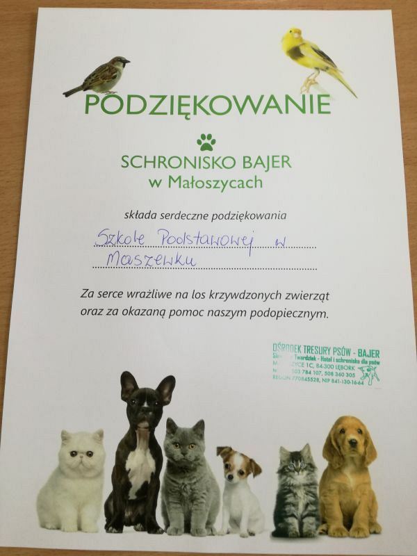 Grafika #0: Zbiórka na rzecz schroniska dla zwierząt