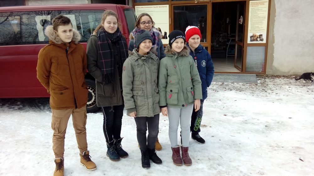 Grafika #0: Zbiórka na rzecz schroniska dla zwierząt