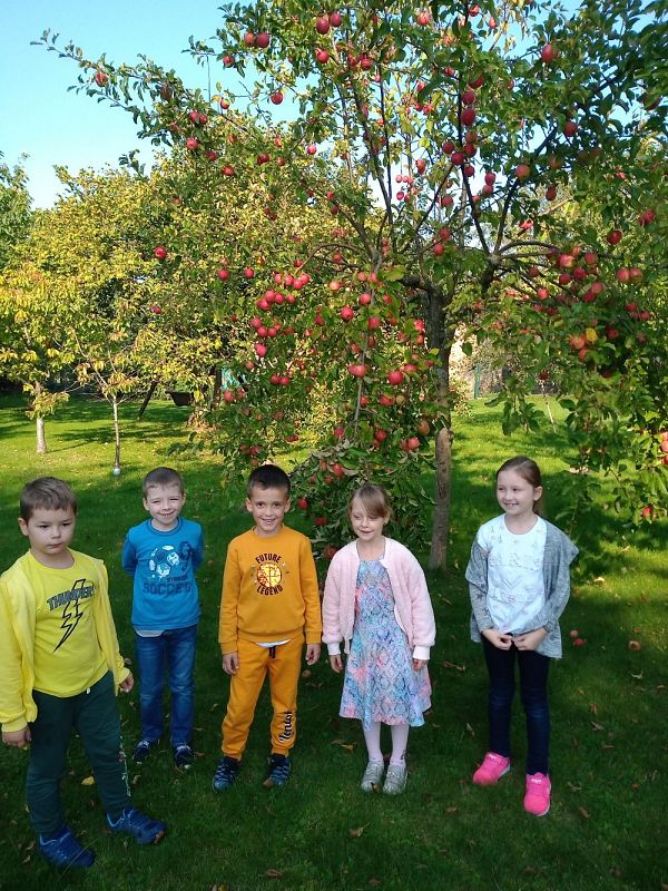 Grafika #0: Jesień w sadzie i w ogrodzie