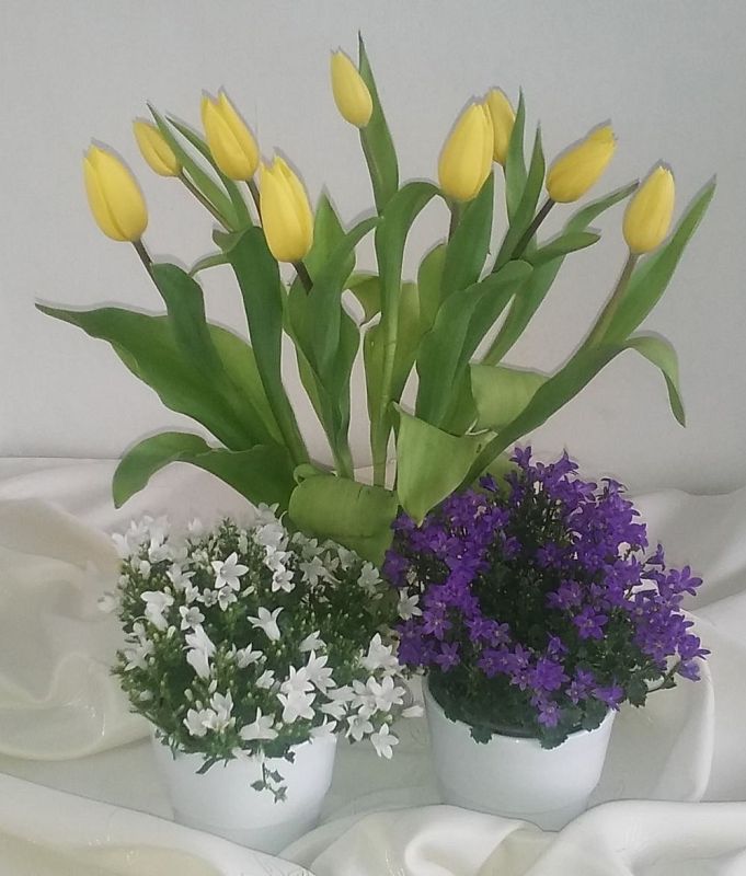 Grafika #0: Naszym Kochanym Mamom 