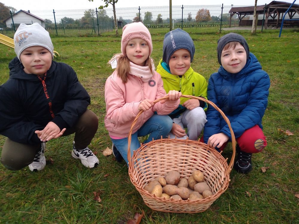 Grafika #0: Święto Pieczonego Ziemniaka