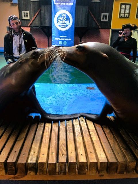 Grafika #0: Wycieczka klas 0 - III do Sea Parku w Łebie