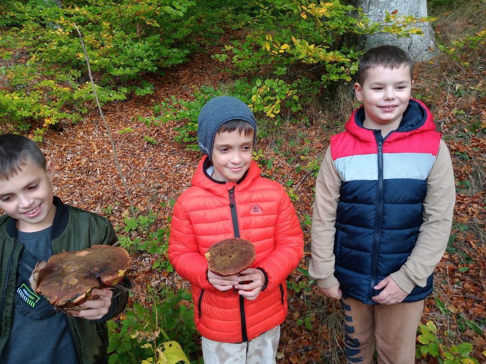 Grafika #0: Wyprawa do lasu