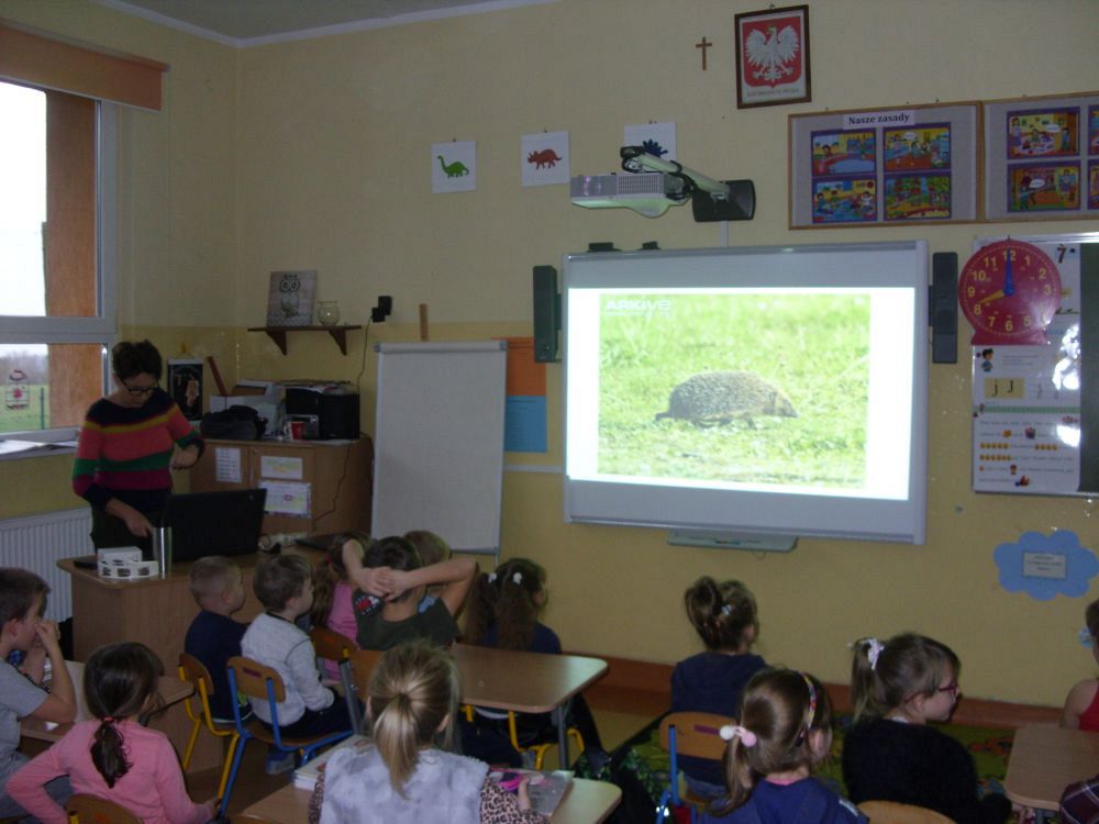 Grafika #0: Zajęcia przyrodnicze dla kl. O-III