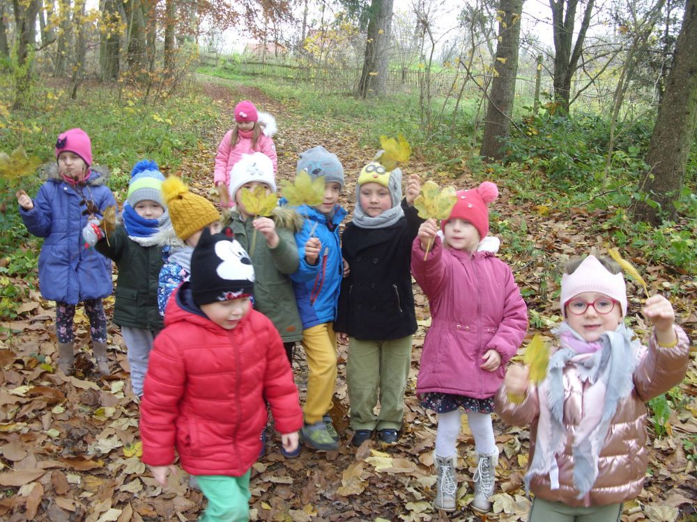 Grafika #0: Piękna jesień w parku