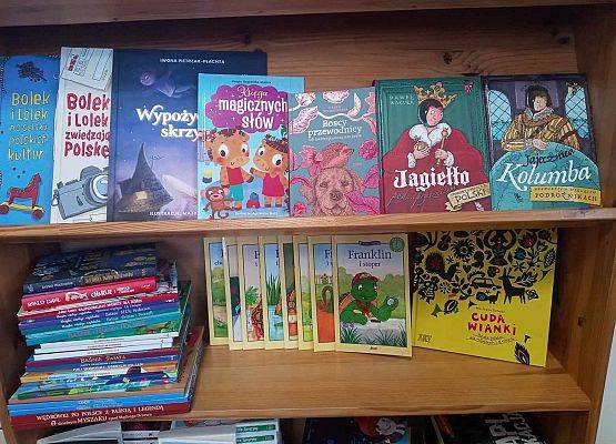 Grafika 1: Nowości  w bibliotece szkolnej w ramach Narodowego Programu Rozwoju Czytelnictwa 2.0