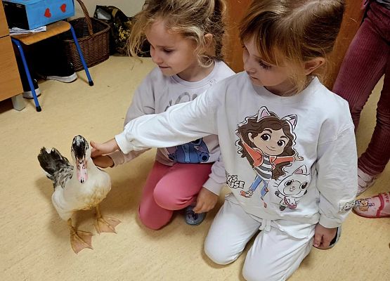 Grafika 2: Tosiek w przedszkolu!