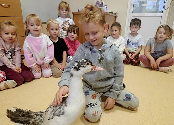 Grafika 1: Tosiek w przedszkolu!