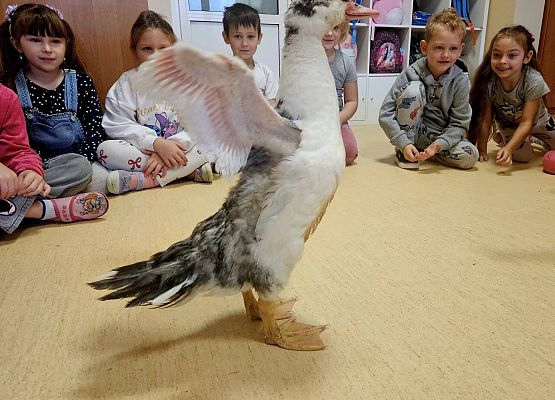 Grafika 3: Tosiek w przedszkolu!