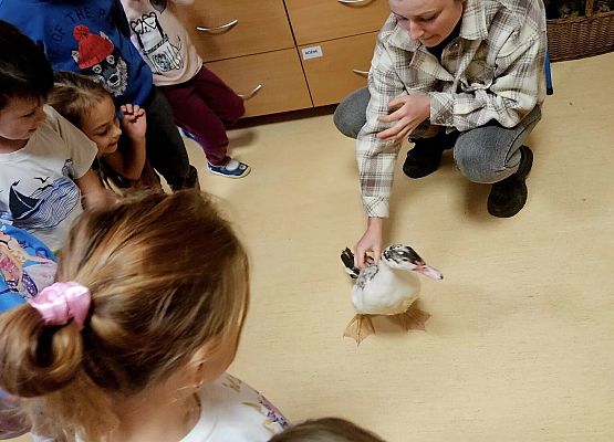 Grafika 4: Tosiek w przedszkolu!