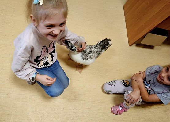 Grafika 5: Tosiek w przedszkolu!