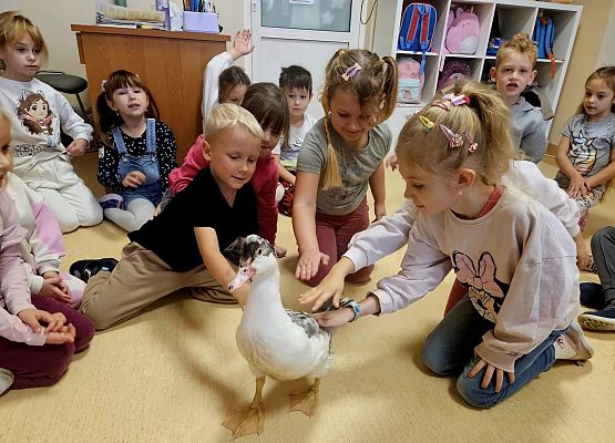 Grafika 7: Tosiek w przedszkolu!