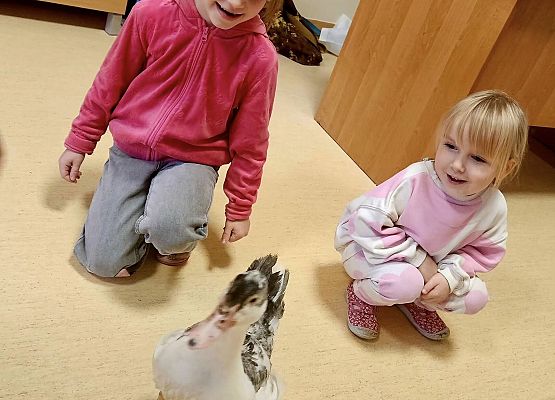 Grafika 8: Tosiek w przedszkolu!