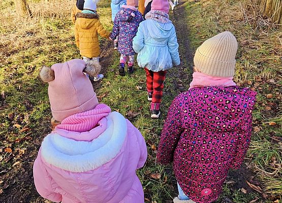 Grafika 2: Tropem śladów leśnych zwierząt