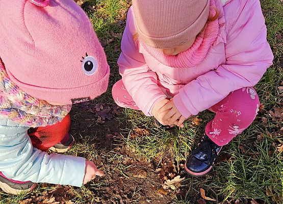 Grafika 6: Tropem śladów leśnych zwierząt