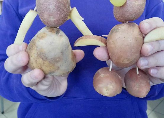 Grafika 8: Ciekawe lekcje kaszubskiego – ziemniaczane stwory