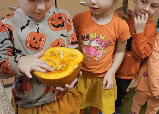 Grafika 8: Dzień Dyni