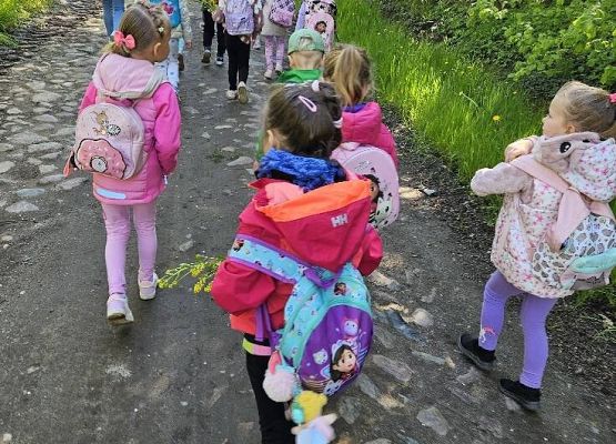 Grafika 9: Majowy spacer przedszkolaków