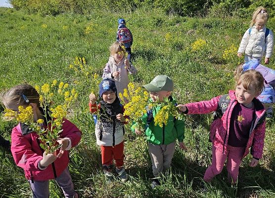 Grafika 10: Majowy spacer przedszkolaków