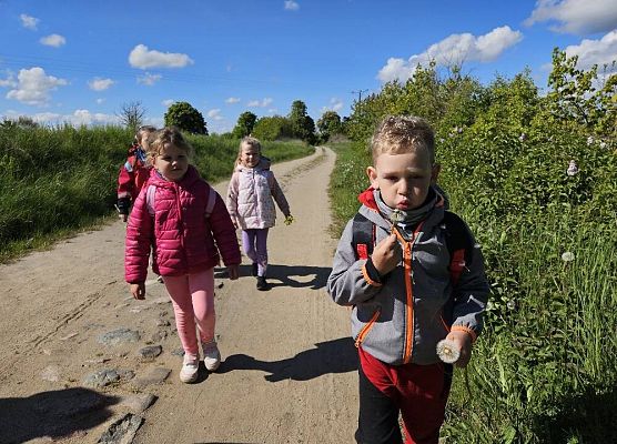 Grafika 7: Majowy spacer przedszkolaków