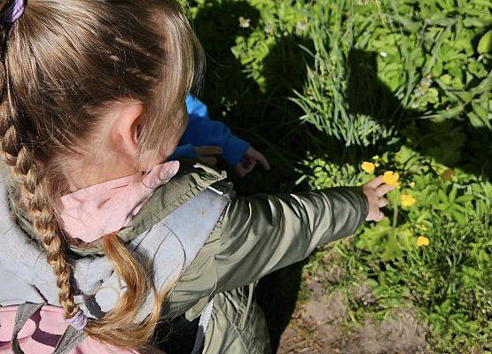 Grafika 14: Majowy spacer przedszkolaków