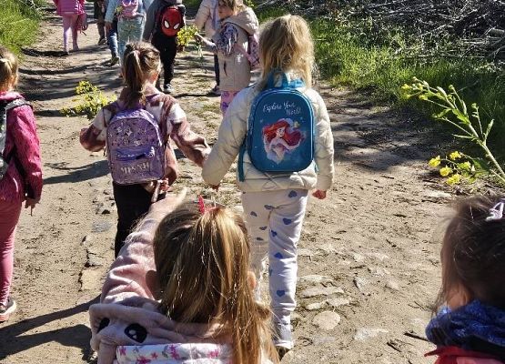 Grafika 8: Majowy spacer przedszkolaków