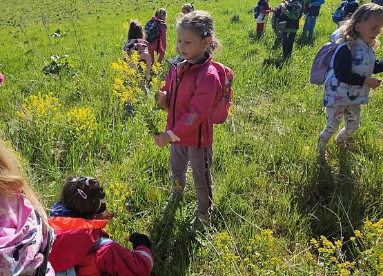 Grafika 12: Majowy spacer przedszkolaków