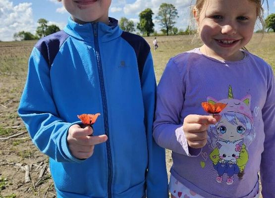 Grafika 2: Majowy spacer przedszkolaków