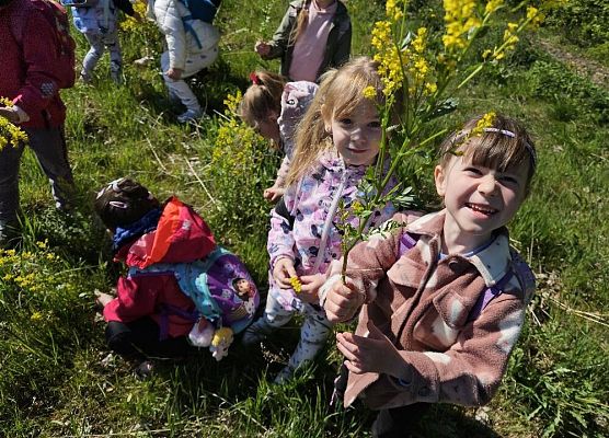 Grafika 11: Majowy spacer przedszkolaków