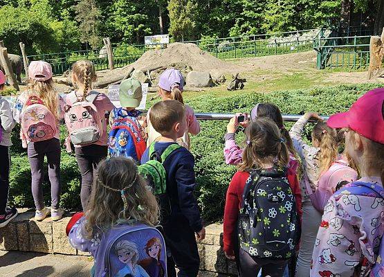 Grafika 16: Wycieczka do ZOO