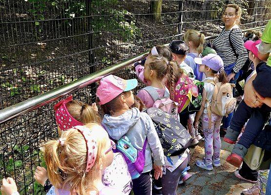 Grafika 11: Wycieczka do ZOO