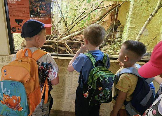 Grafika 13: Wycieczka do ZOO