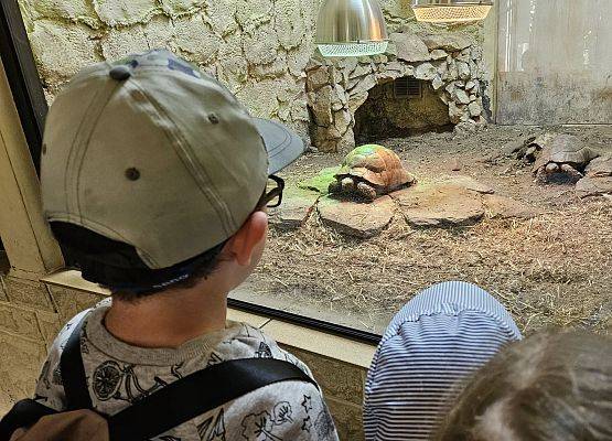 Grafika 15: Wycieczka do ZOO