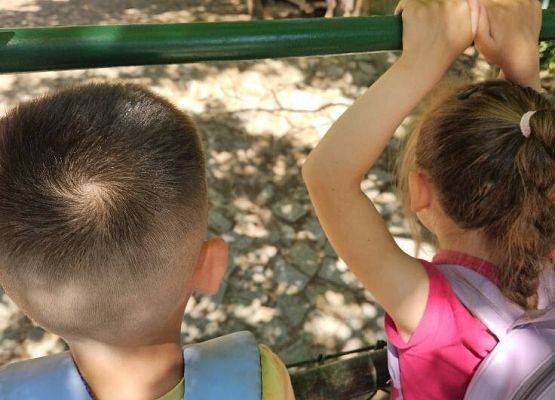 Grafika 9: Wycieczka do ZOO