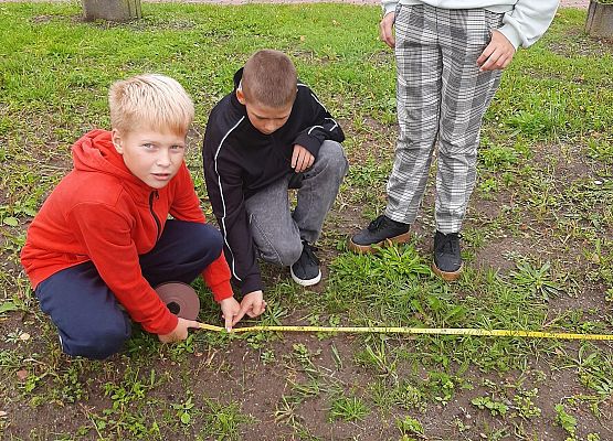 Grafika 4: Zajęcia z matematyki po wakacjach