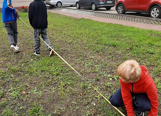 Grafika 5: Zajęcia z matematyki po wakacjach