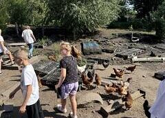 Grafika 6: Piękno Eko ogrodów w okolicy