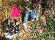 Grafika 2: Poznajemy świat przyrody