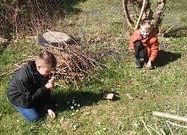 Grafika 1: Poznajemy świat przyrody