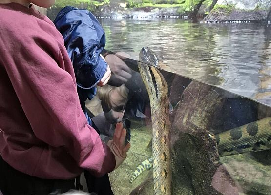 Grafika 2: Wycieczka do Gdyni