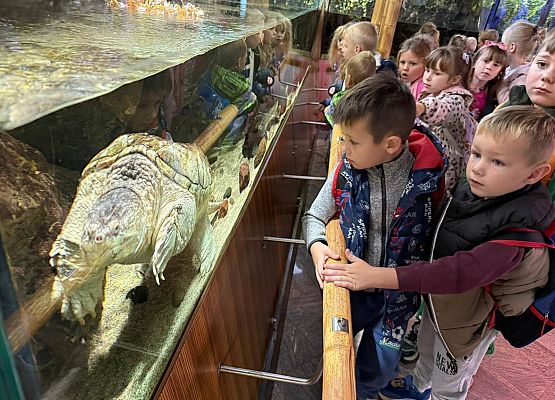 Grafika 3: Wycieczka do Gdyni